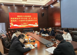 深学细悟全会精神 实干笃行检察担当——桃源县人民检察院掀起学习贯彻党的二十届四中全会精神热潮